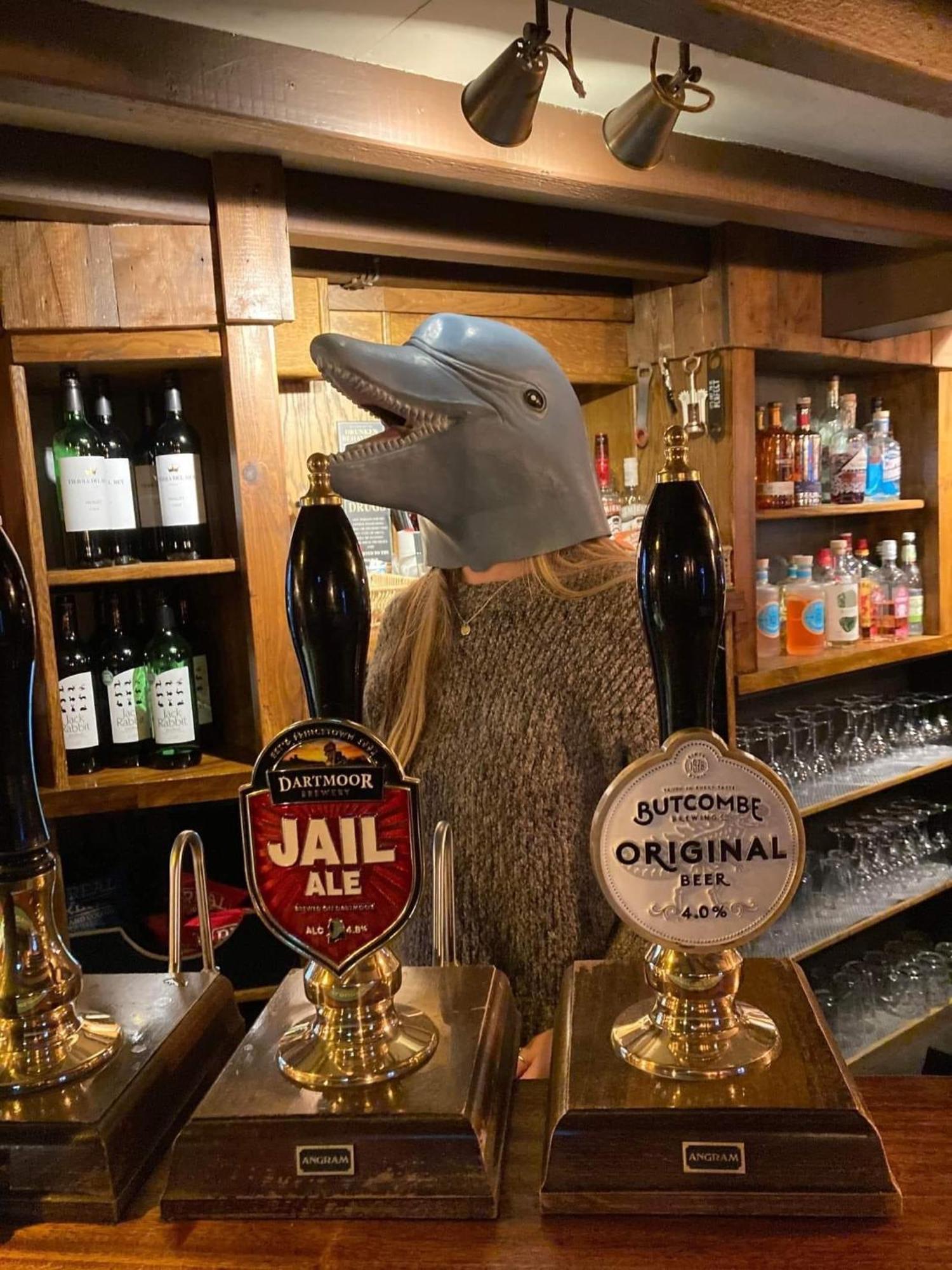 The Dolphin Inn Kingsbridge  Cameră foto